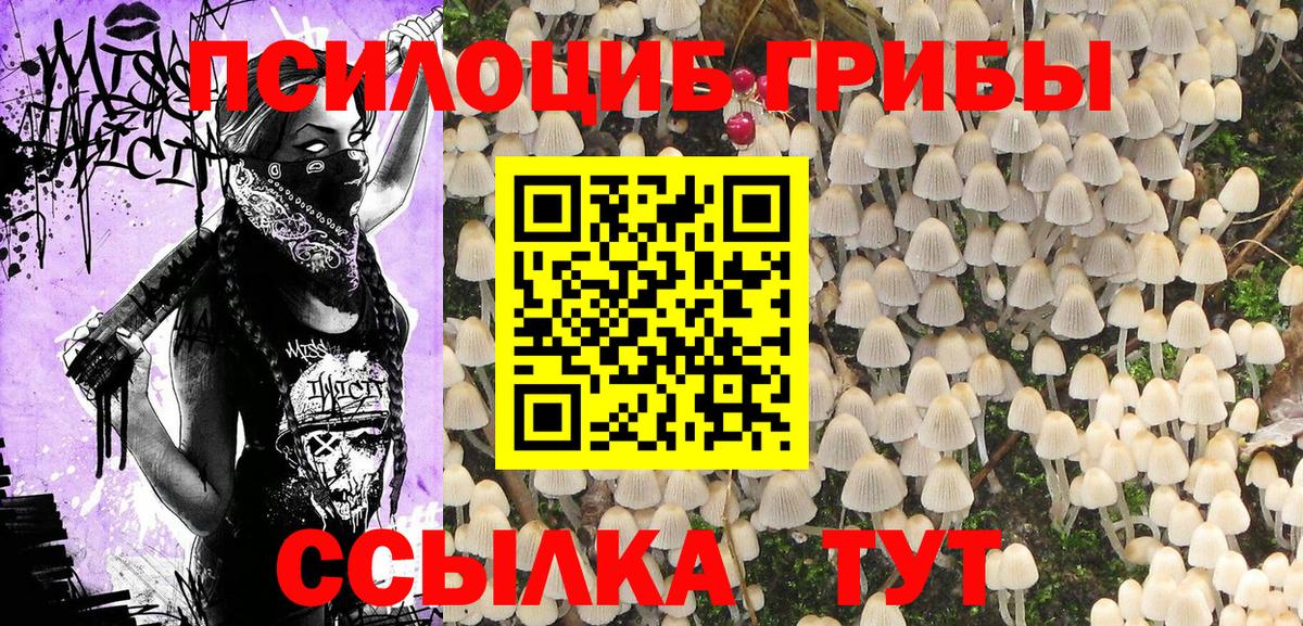 Галлюциногенные грибы Psilocybine cubensis Сухой Лог