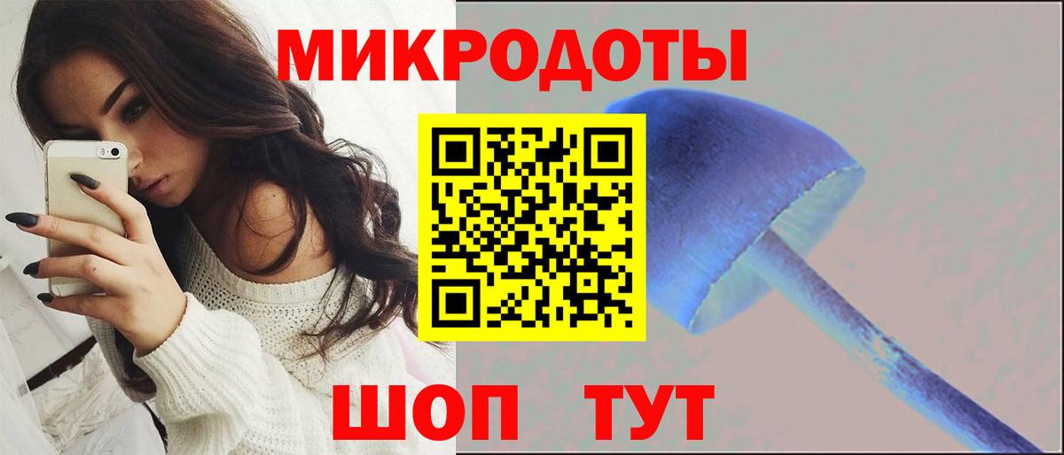 Сухой Лог  Галлюциногенные грибы MAGIC MUSHROOMS  Вход с VPN 
